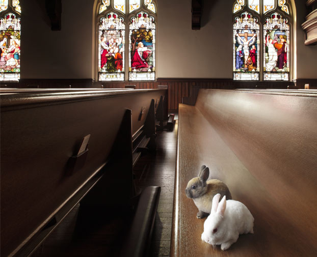 6a00d8341bf67c53ef016764ba8953970b-800wi