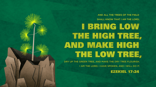 Ezekiel17.24-660x371