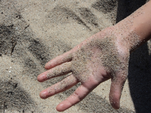 4e5e532e25bc1DSC01828_large_medium (1)