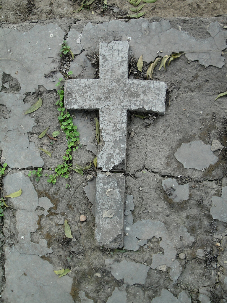 5415274279_d581c23043_b