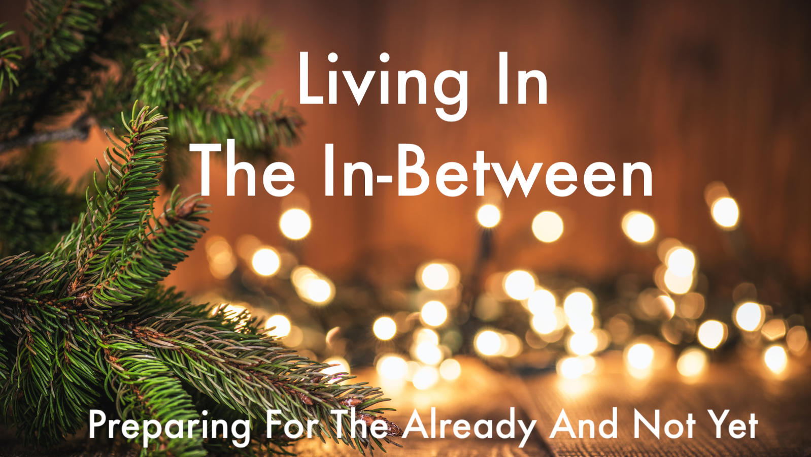 Spruce Tree branch on Wood Background