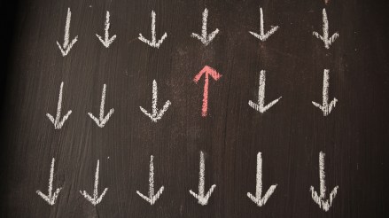 0e4152129_1428595080_2015-blog-whyhomosexualityisanissueoffirstimportance